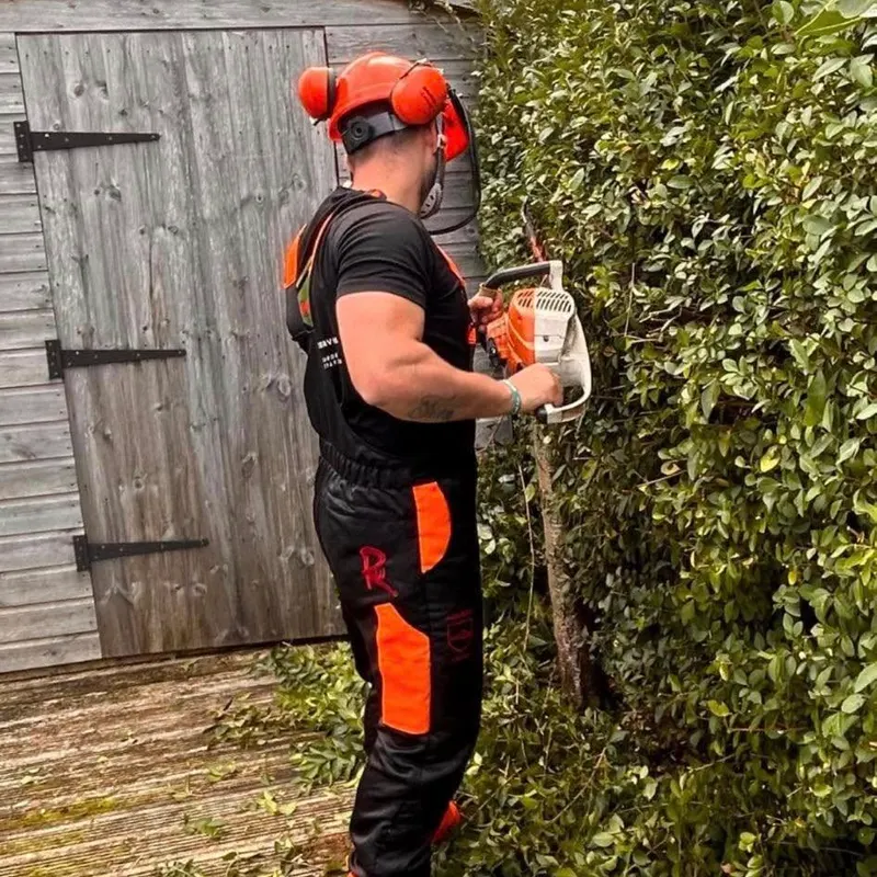 TB Tree Care work