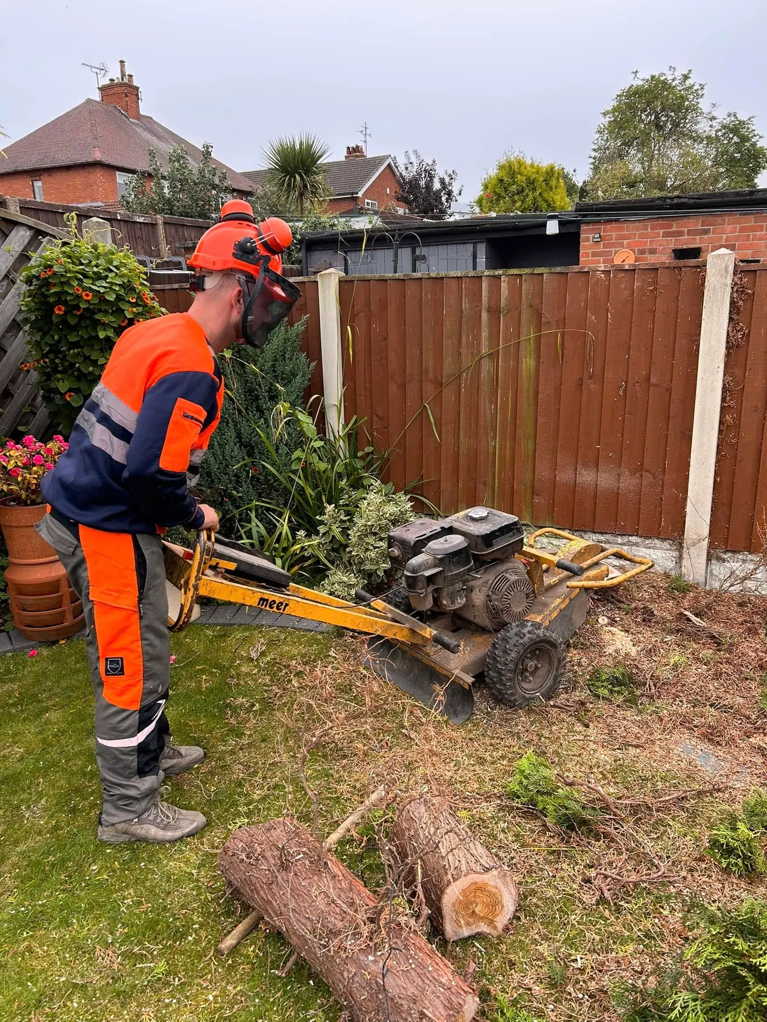 TB Tree Care arborist processing logs after felling a garden tree