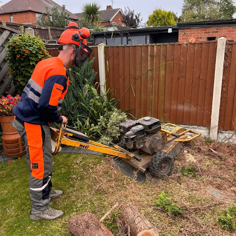 TB Tree Care work