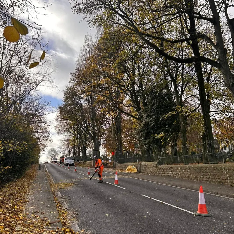 TB Tree Care work