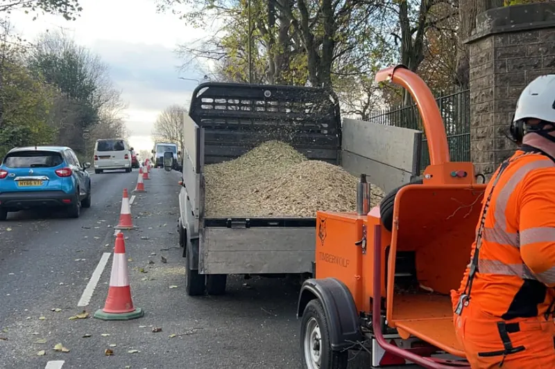 Commercial Tree Services