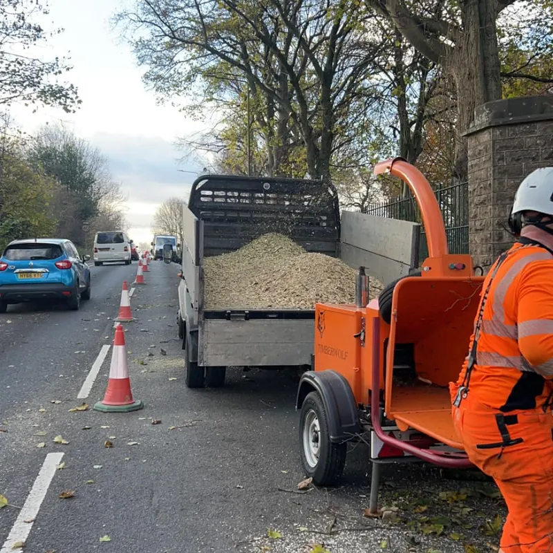 TB Tree Care work
