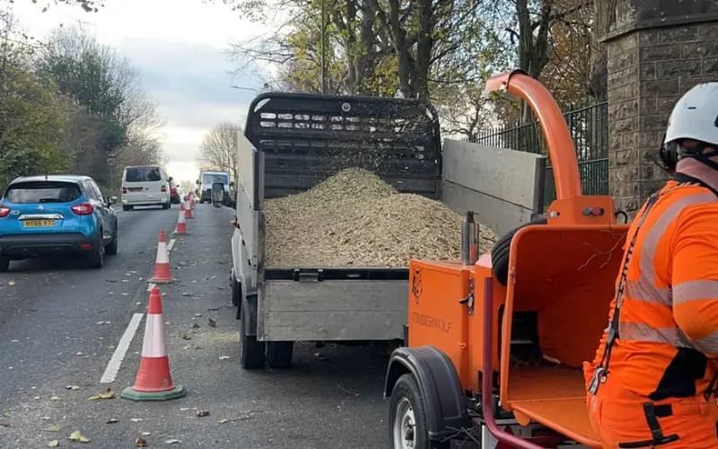 Roadside tree removal coned off and chipped down, with the crew in full hi-vis