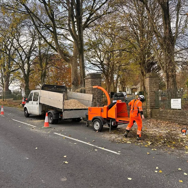 TB Tree Care work