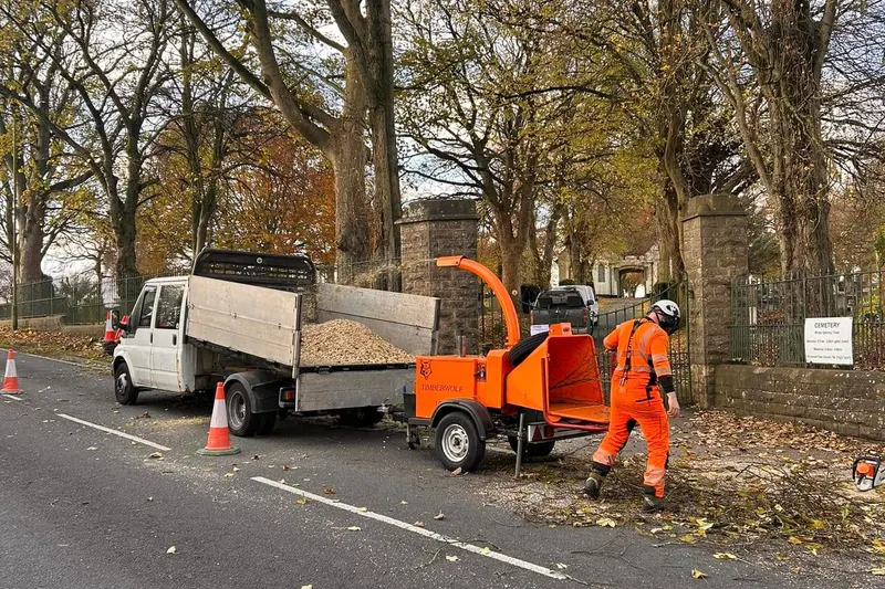 TB Tree Care truck and wood chipper set up for a commercial tree job