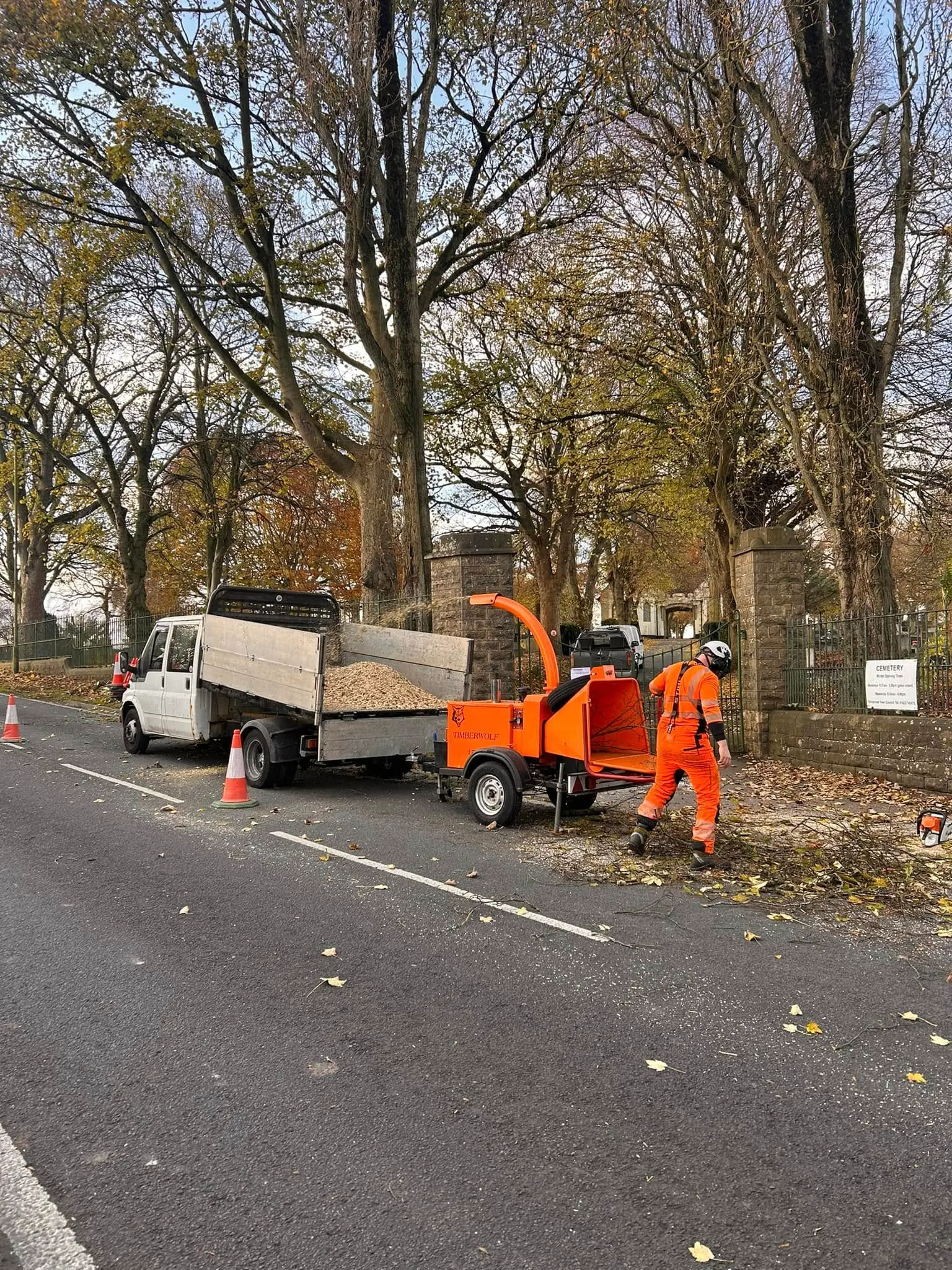 Tree removal crew at work in Mansfield