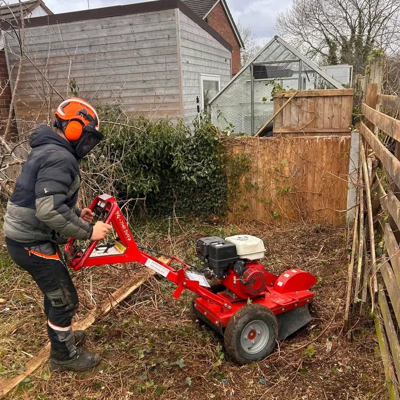 TB Tree Care work