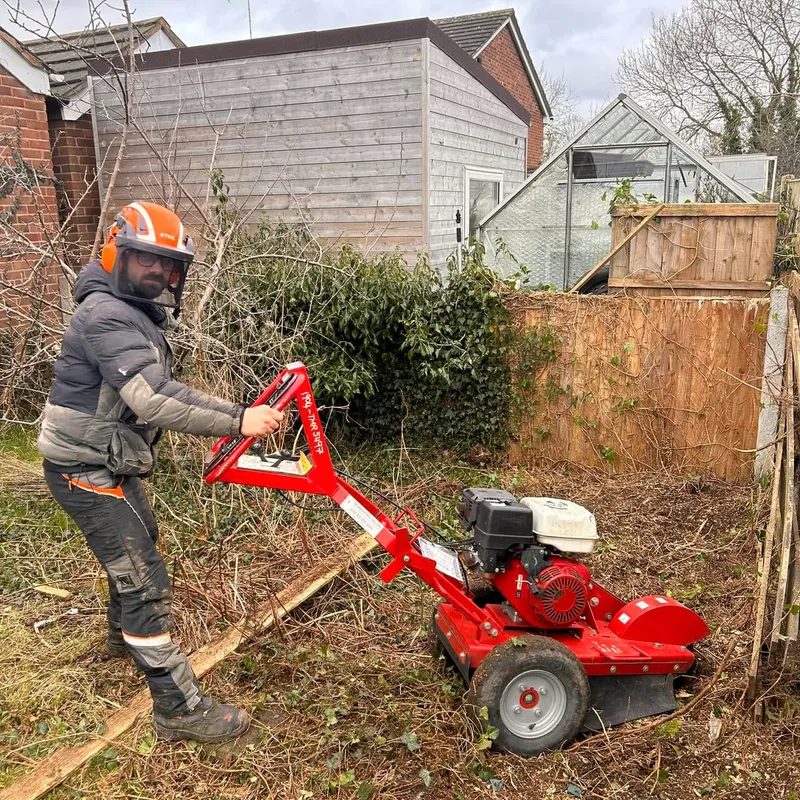 TB Tree Care work