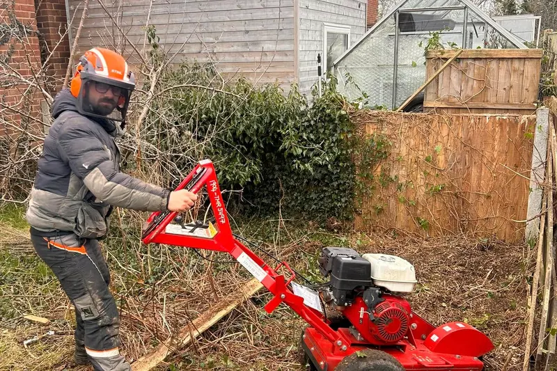 Stump Grinding & Removal