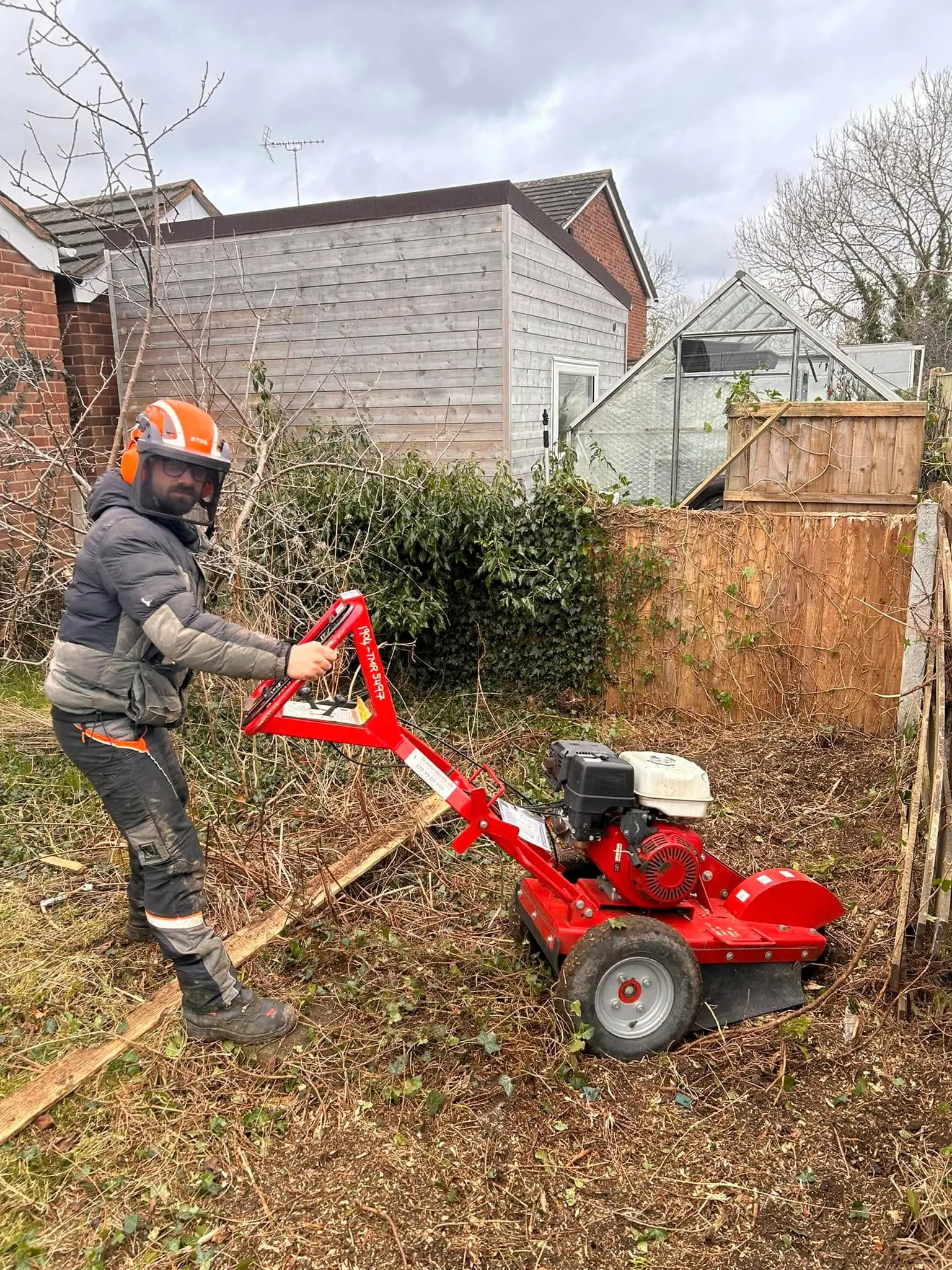 Stump grinding crew at work in Ripley