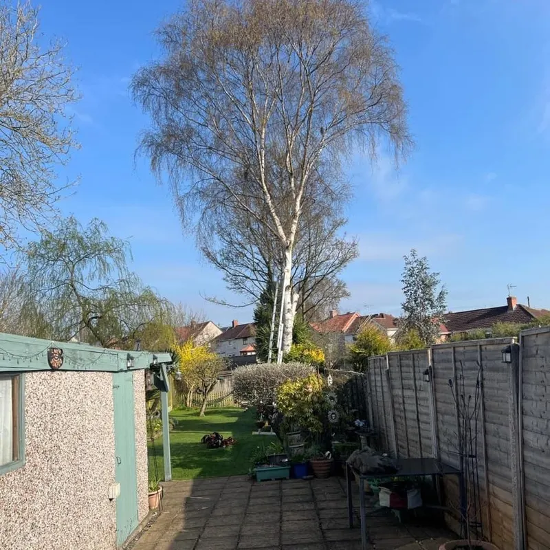 TB Tree Care work