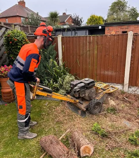 TB Tree Care work
