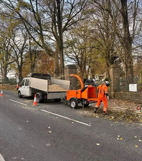 TB Tree Care work