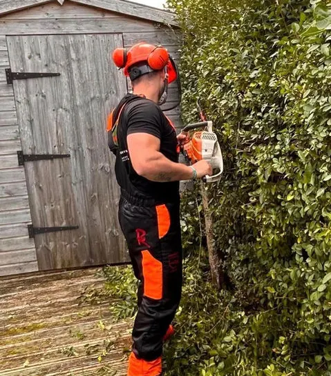 TB Tree Care work