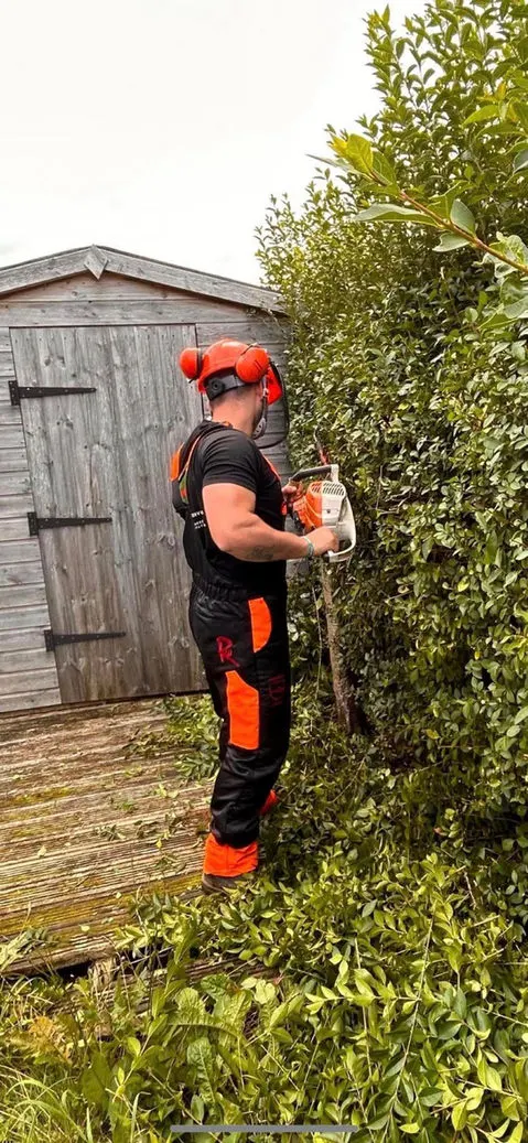 TB Tree Care operative in full PPE working a hedge by hand