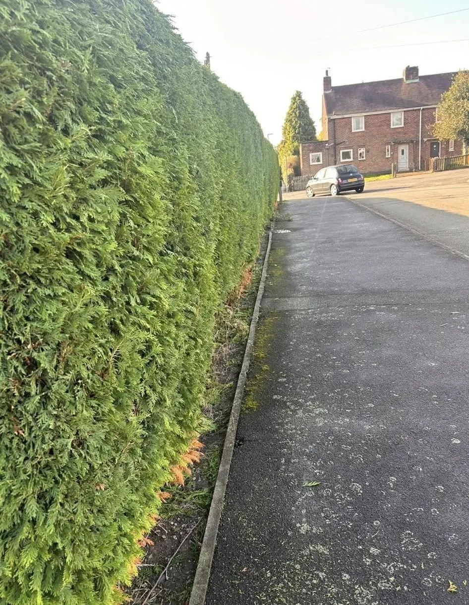 Swept path and cleared borders after a hedge cut in Newbold