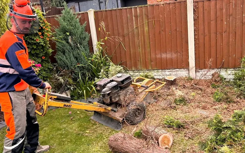 Hi-vis crew clearing cut timber from a garden after grinding a stump out