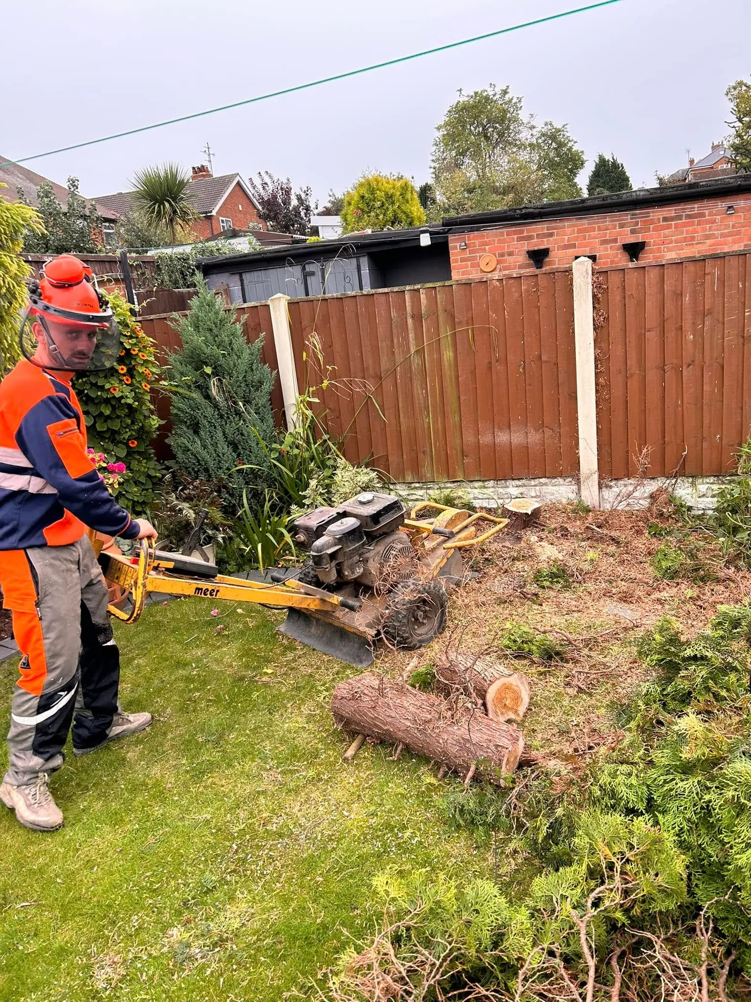 Stump grinding where a wind-thrown tree was removed near Belper