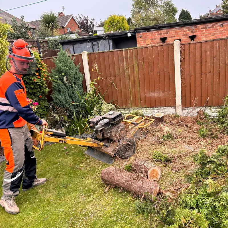 TB Tree Care work