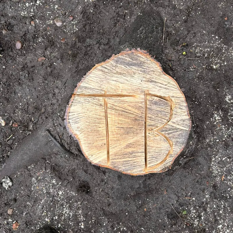 TB Tree Care work